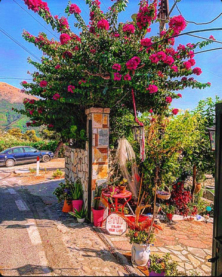 Villa Maria Luxury Apartments "Bunec-Piqeras"! Экстерьер фото